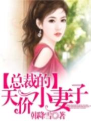 总裁的天价小妻子